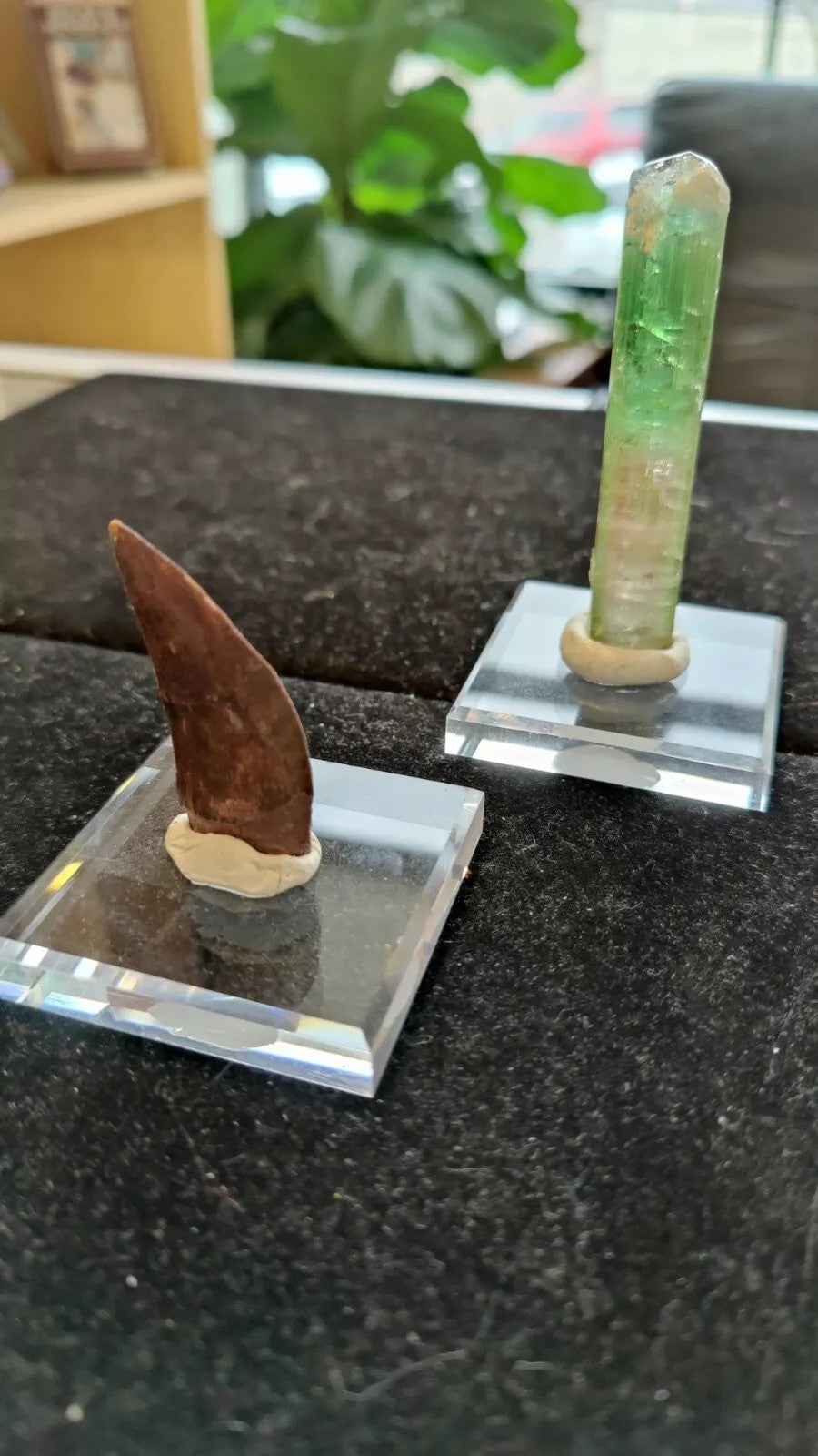 Geo-Tac Mineral and Fossil Mounting Display Putty