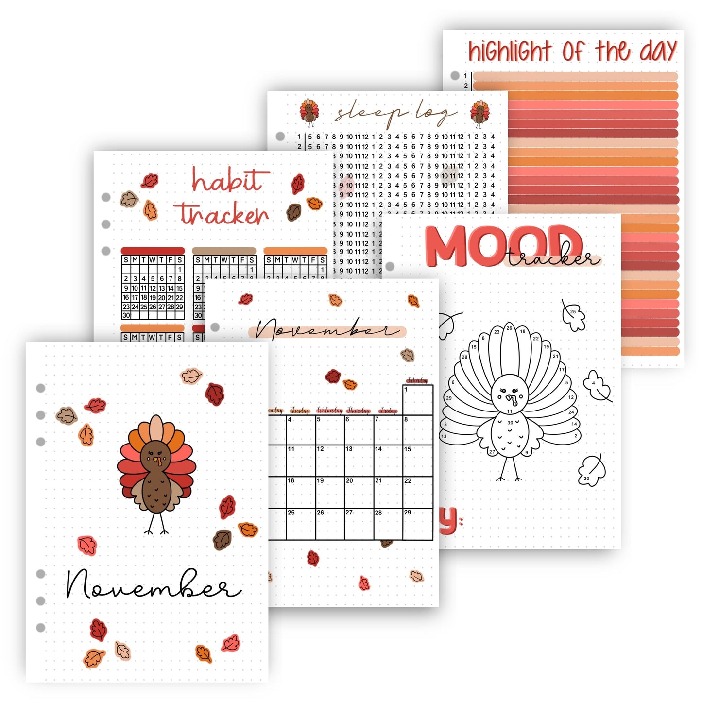 November 2025 | Thanksgiving