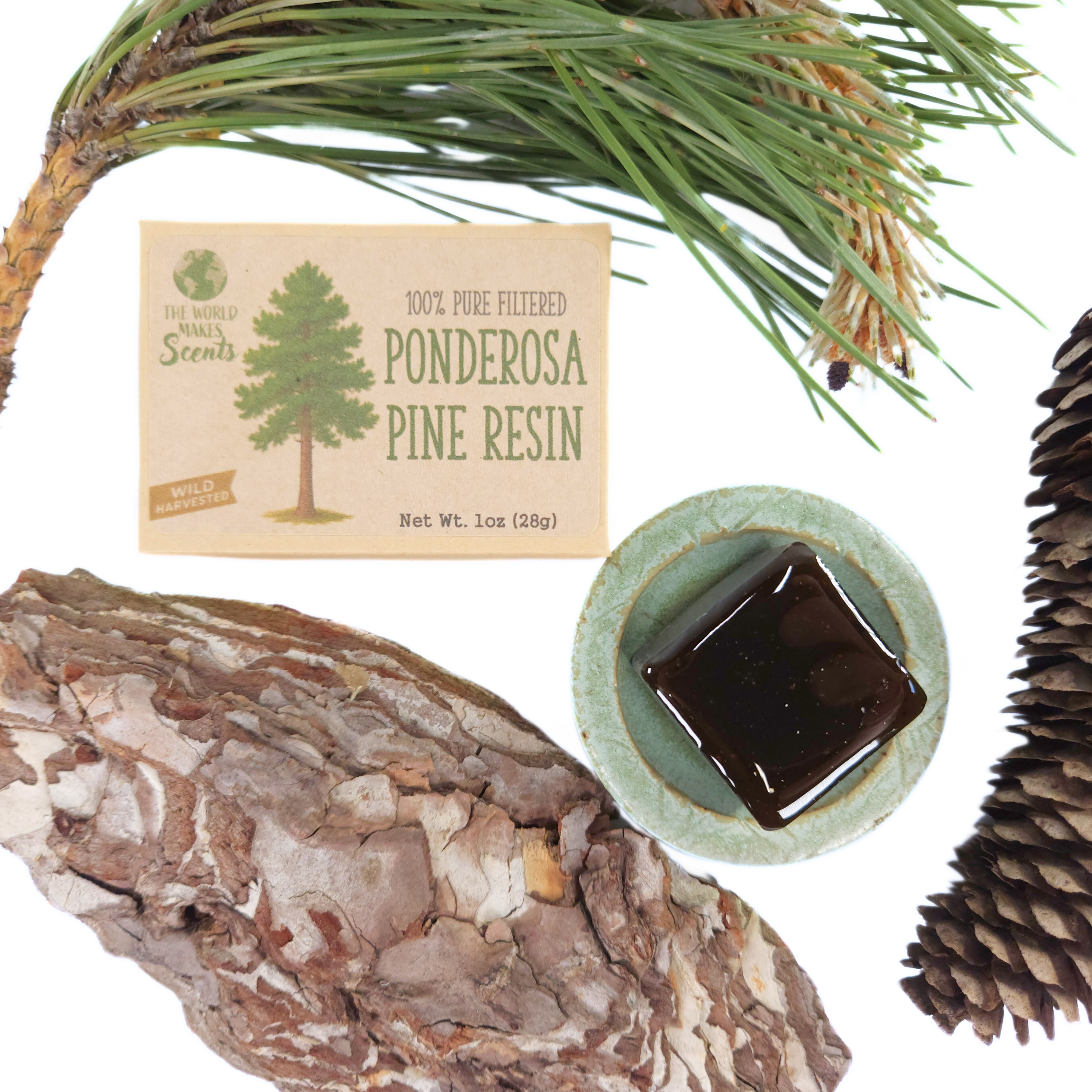 Filtered Ponderosa Pine Resin (Pinus ponderosa) 1oz (28g)
