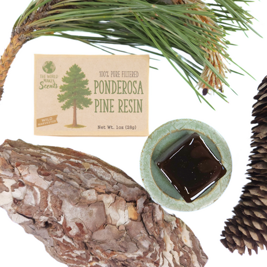 Filtered Ponderosa Pine Resin (Pinus ponderosa) 1oz (28g)