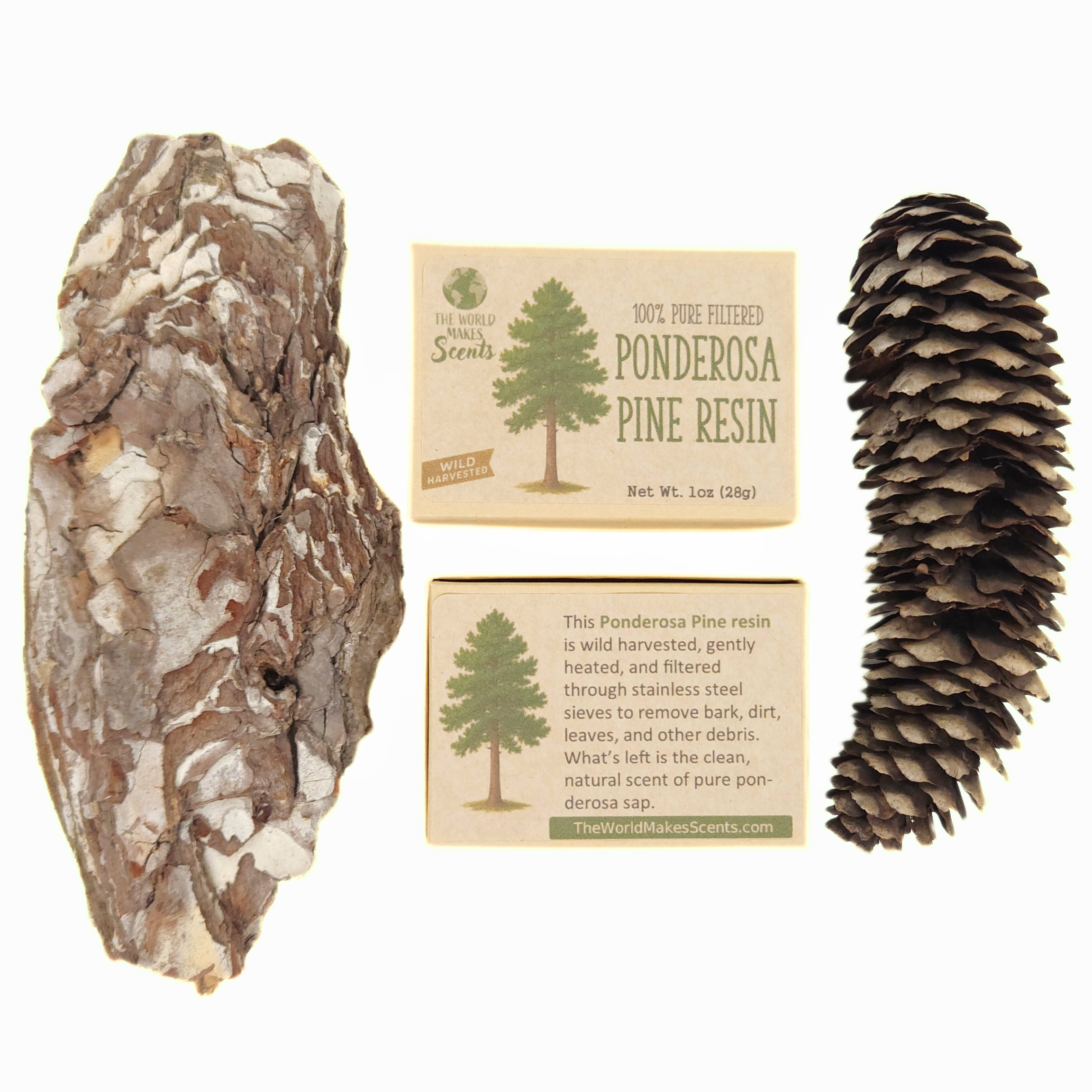 Filtered Ponderosa Pine Resin (Pinus ponderosa) 1oz (28g)