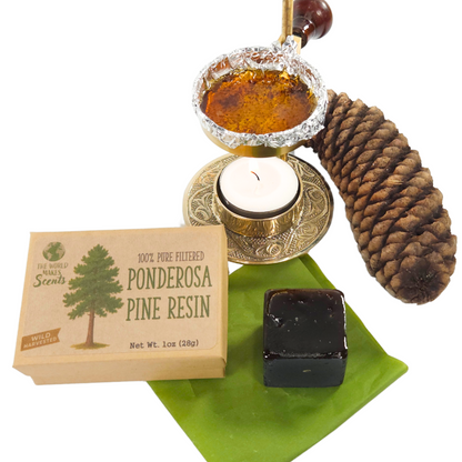 Filtered Ponderosa Pine Resin (Pinus ponderosa) 1oz (28g)