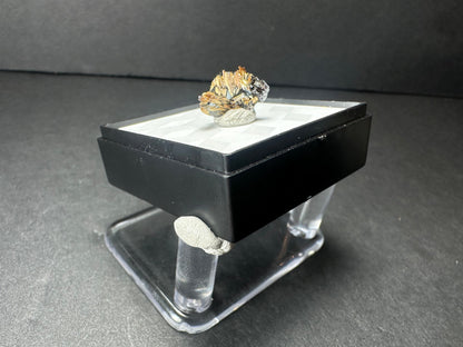 Golden Rutile on Hematite Micro Specimen in Acrylic Novo Horizonte, Bahia, Brazil