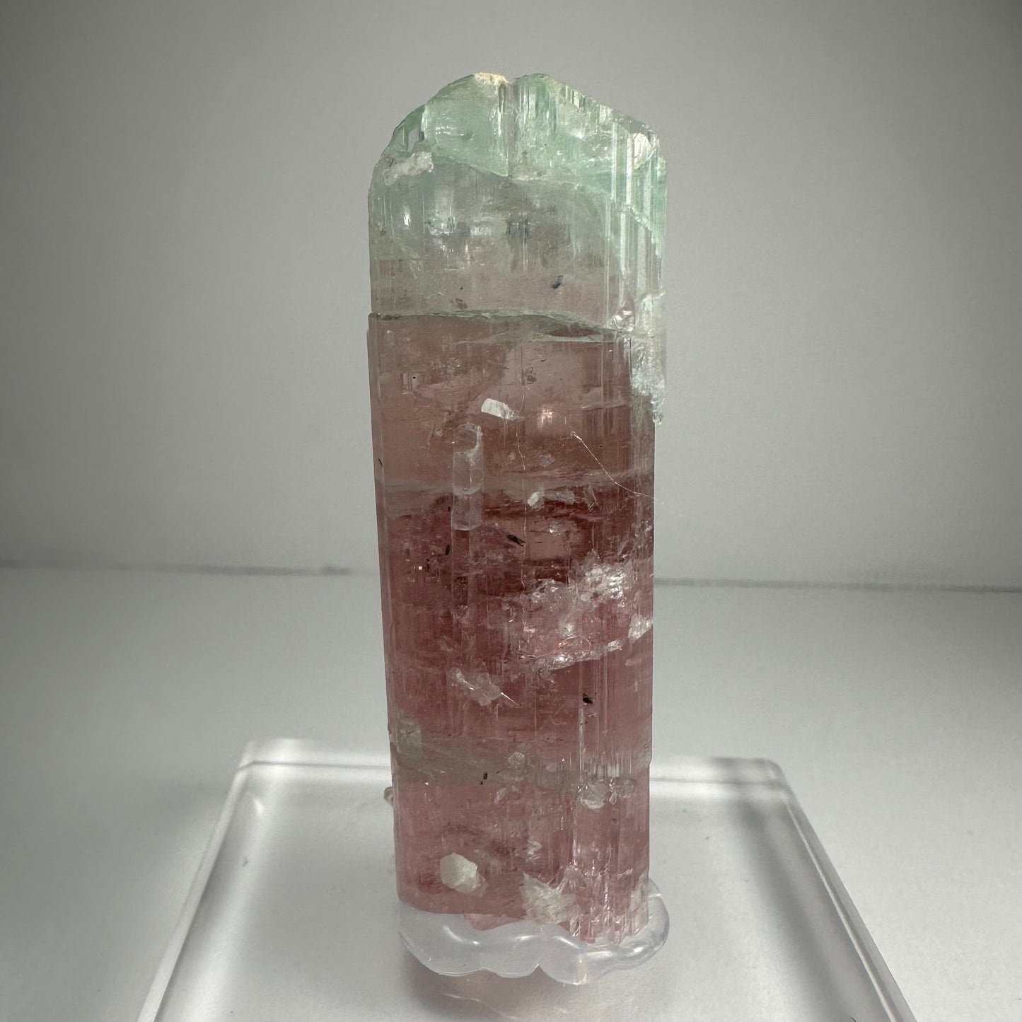 Watermelon Tourmaline