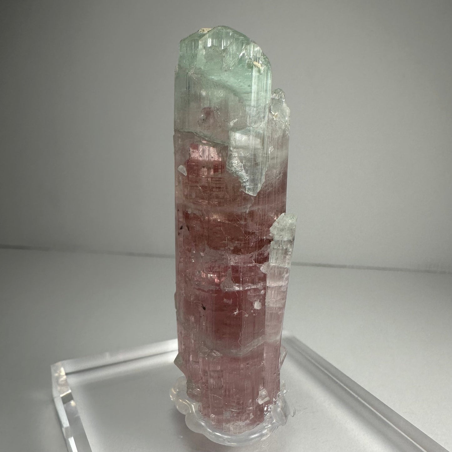 Watermelon Tourmaline