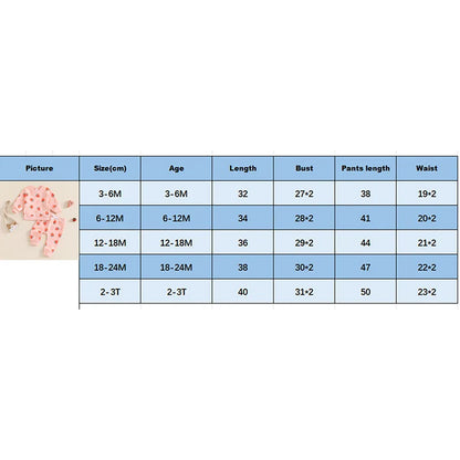 Baby Toddler Girls 2Pcs Fall Strawberry Print Outfit Long Sleeve Top Elastic Waist Pants with Pockets Set