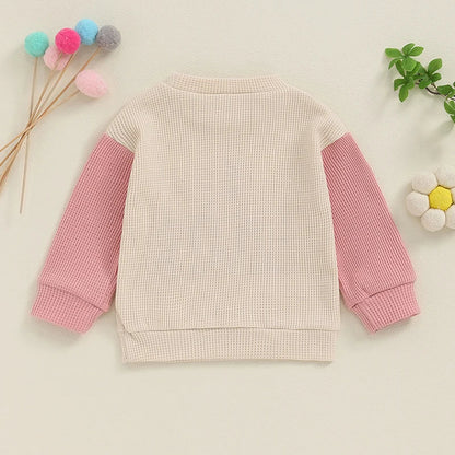 Toddler Kids Big Brother / Sister Pullover Letter Embroidery Round Neck Contrasting Color Long Sleeve Waffle Top