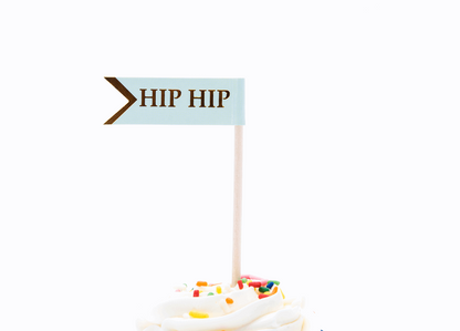 Fun Fair Cupcake Kit