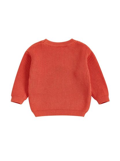 Baby Toddler Kids Girl Halloween Sweater Long Sleeve Round Neck Ghost Flower Embroidery Knit Pullover Top