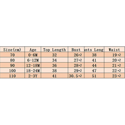 Baby Toddler Boys 2Pcs Little Dude Fall Outfit Long Sleeve Letter Embroidery Top + Pocket Pants Set