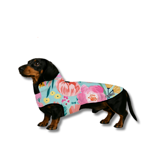 Southern Bloom Dog Coat