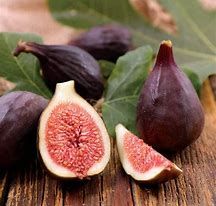 VIOLETTE DE BORDEAUX FIG
