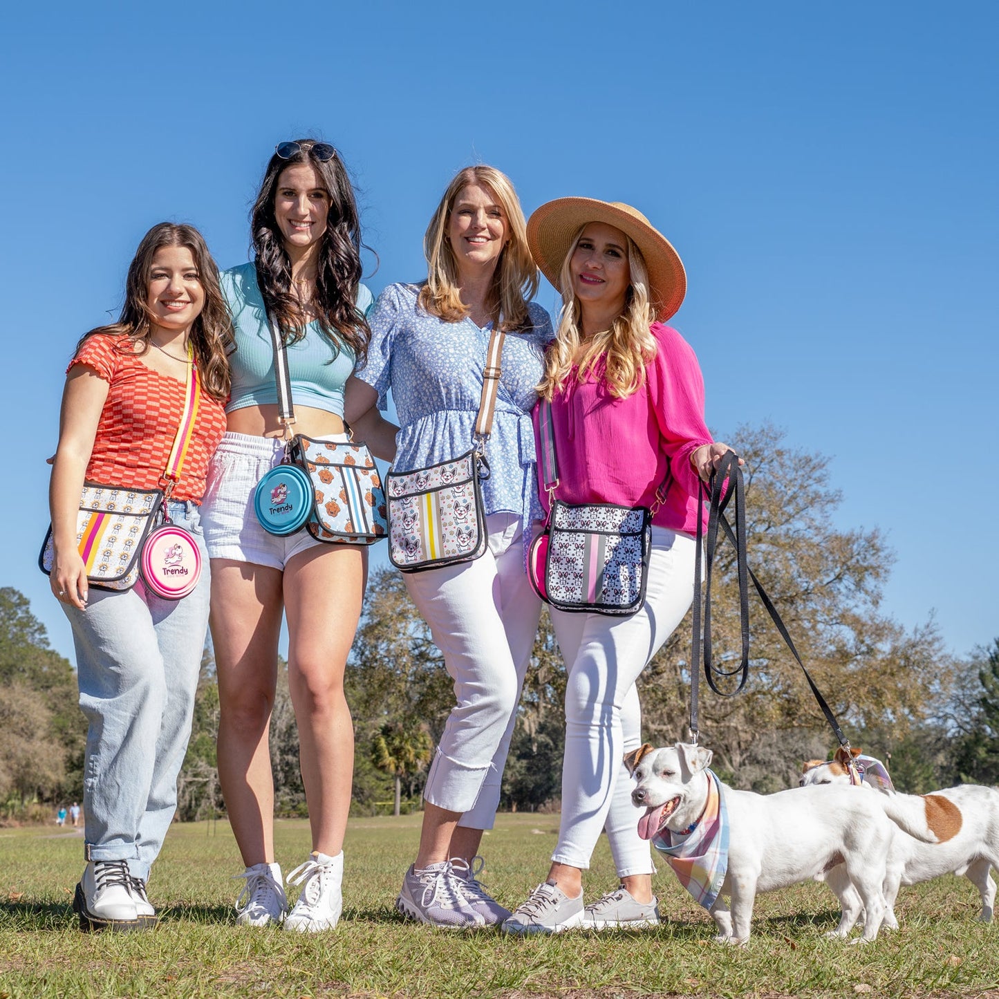 Black Solid Dog Walking Bag with Reflective Strap & Striping