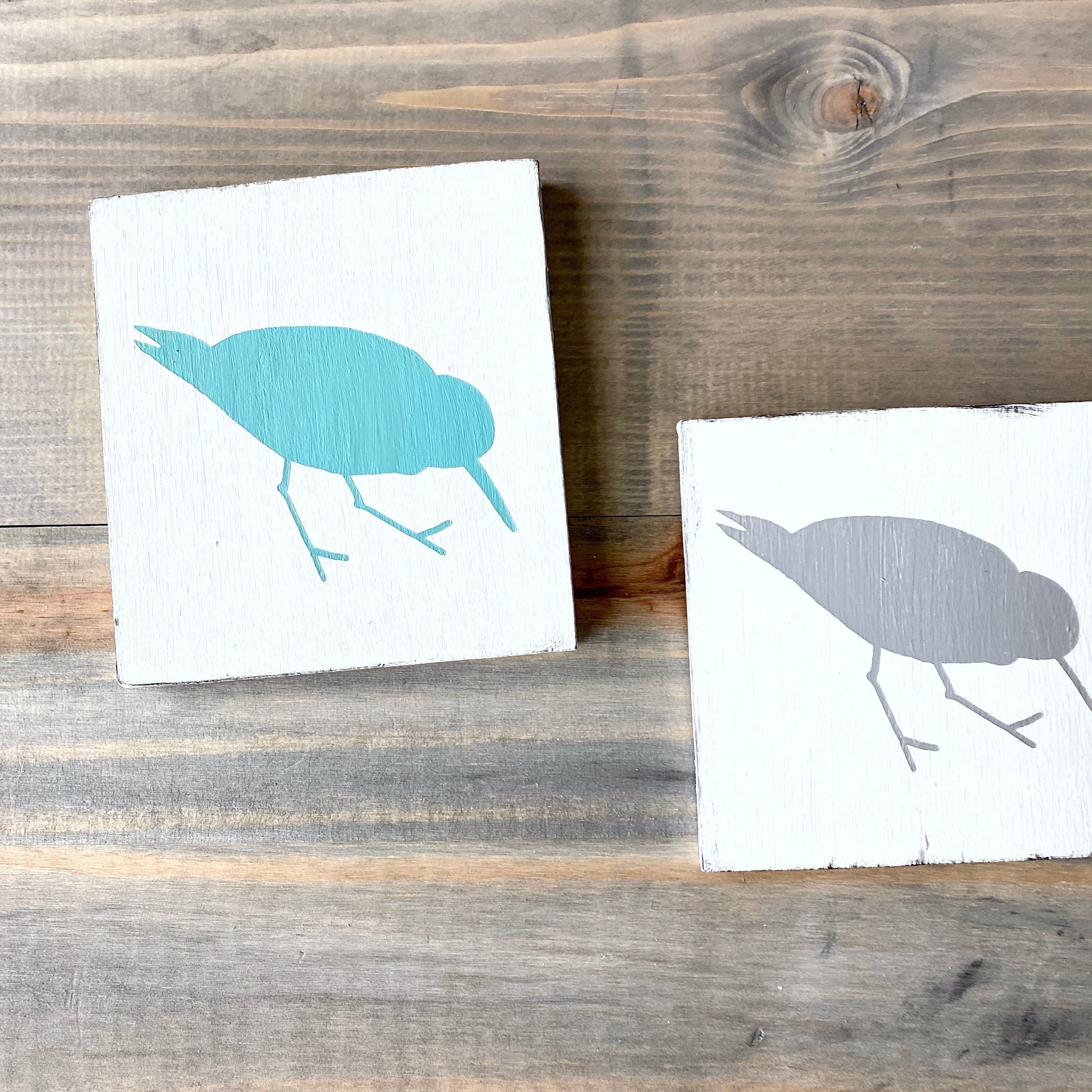 Shorebird, Sandpiper Sign