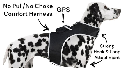 Waterproof Collar Mount Tracker Realtime GPS GSM Puppy Tracking Device Size:L