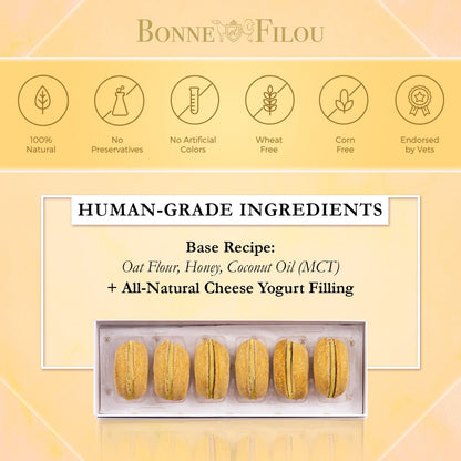 Dog Macarons - Count of 6 (Dog Treats | Dog Gifts)