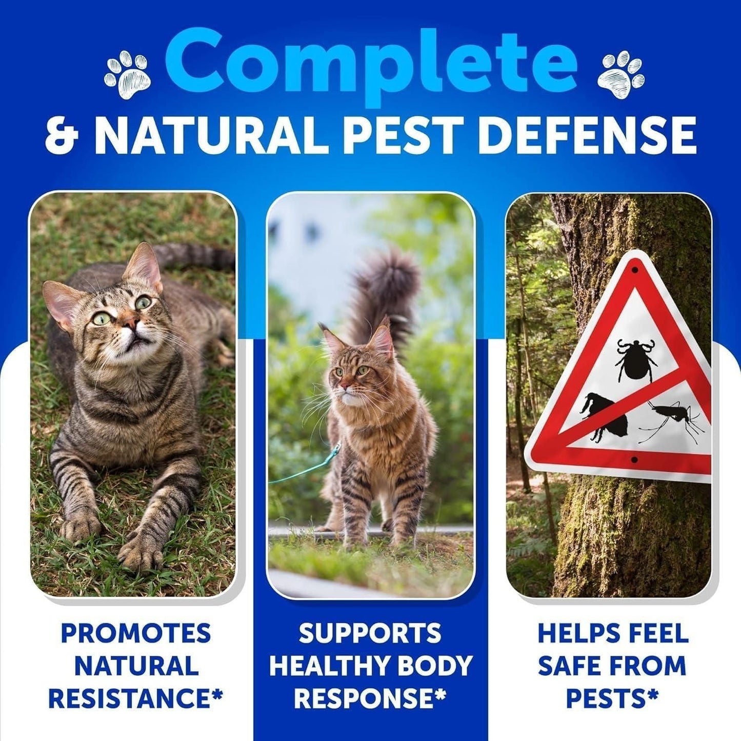 Flea Treatment for Cats Natural Flea and Tick Prevention Supplement for Cats Kittens Chewable Daily Oral Pills with Vitamins 135 Soft Chews Skin & Coat Dental treats Digestion
