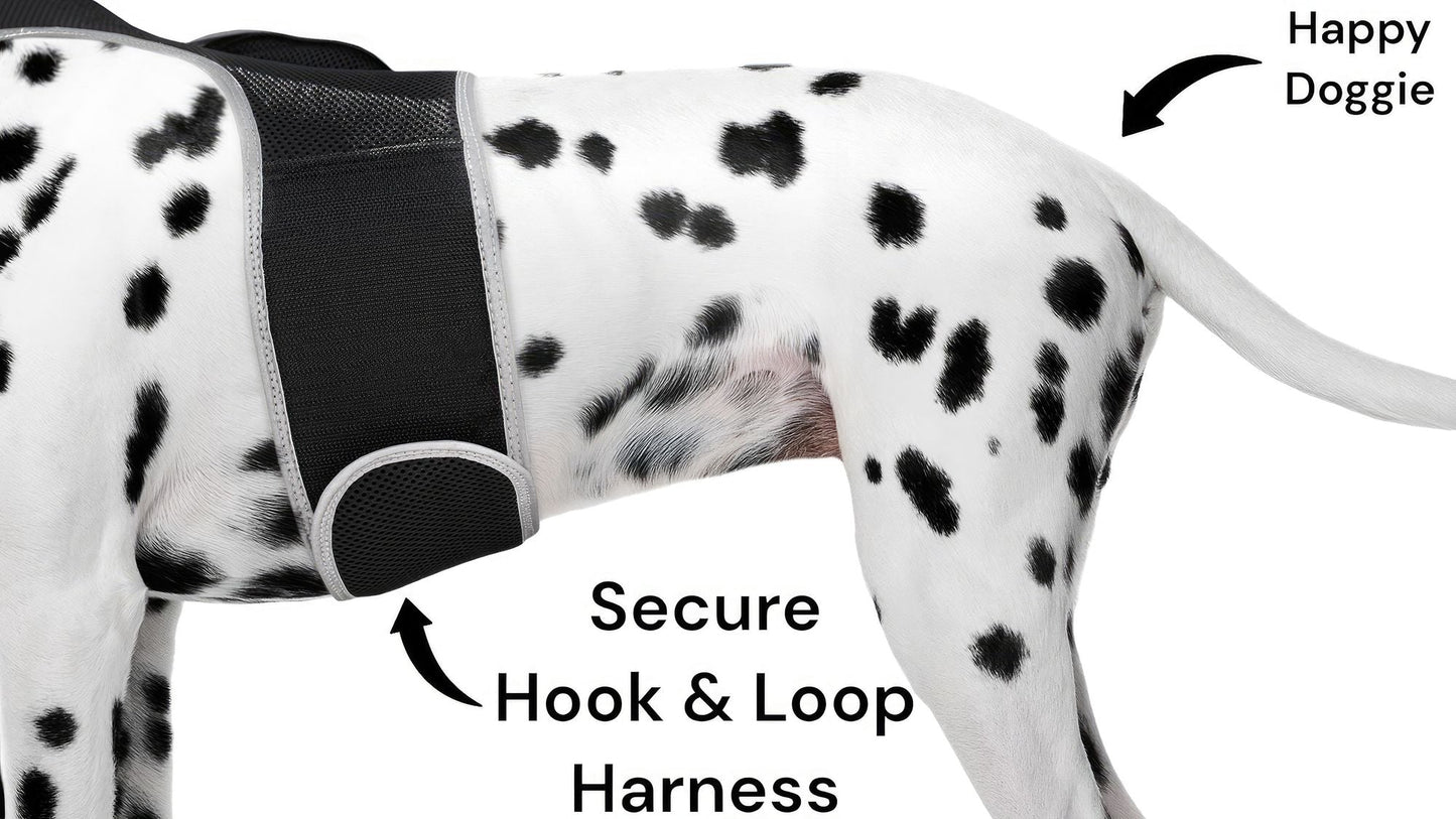 Keep Pet Safe with Pet Tracker GPS Dog Collar Tracking Device + Phone App Size:M