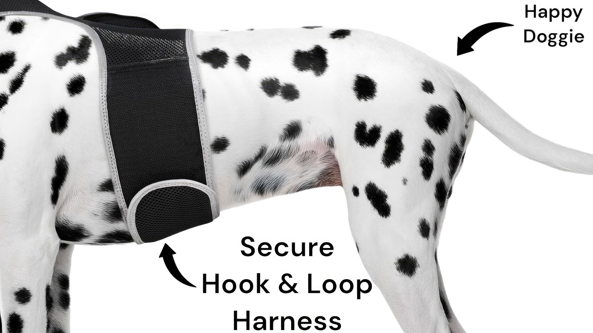 Keep Pet Safe with Pet Tracker GPS Dog Collar Tracking Device + Phone App Size:M