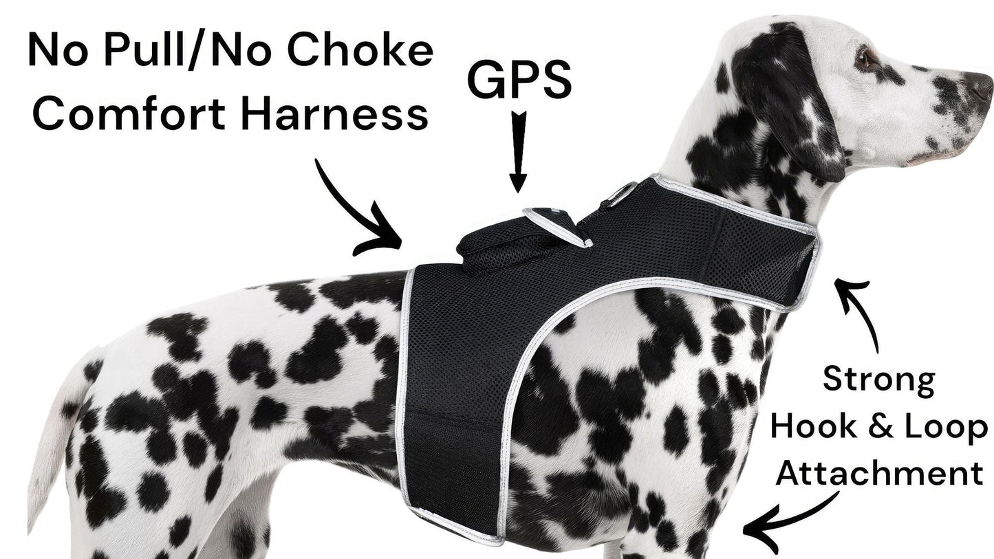 GPS Rechargeable Tracking Device for Pets Realtime Surveillance System Size:XXL