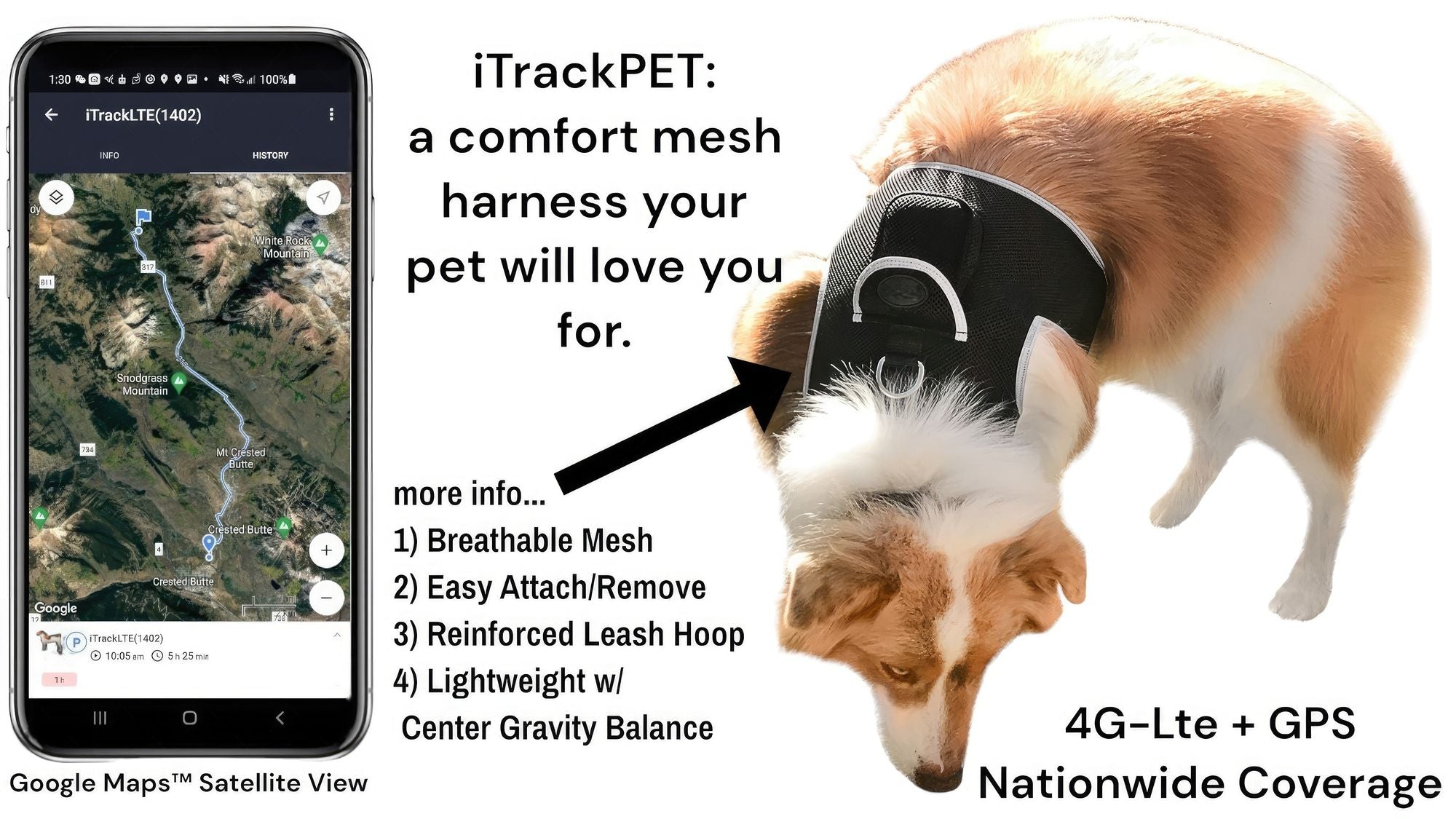 Consistent Realtime Mini Cat Dog GPS Tracking Collar Waterproof Device Size:L