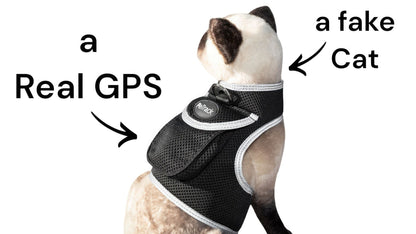 Waterproof Collar Mount Tracker Realtime GPS GSM Puppy Tracking Device Size:L