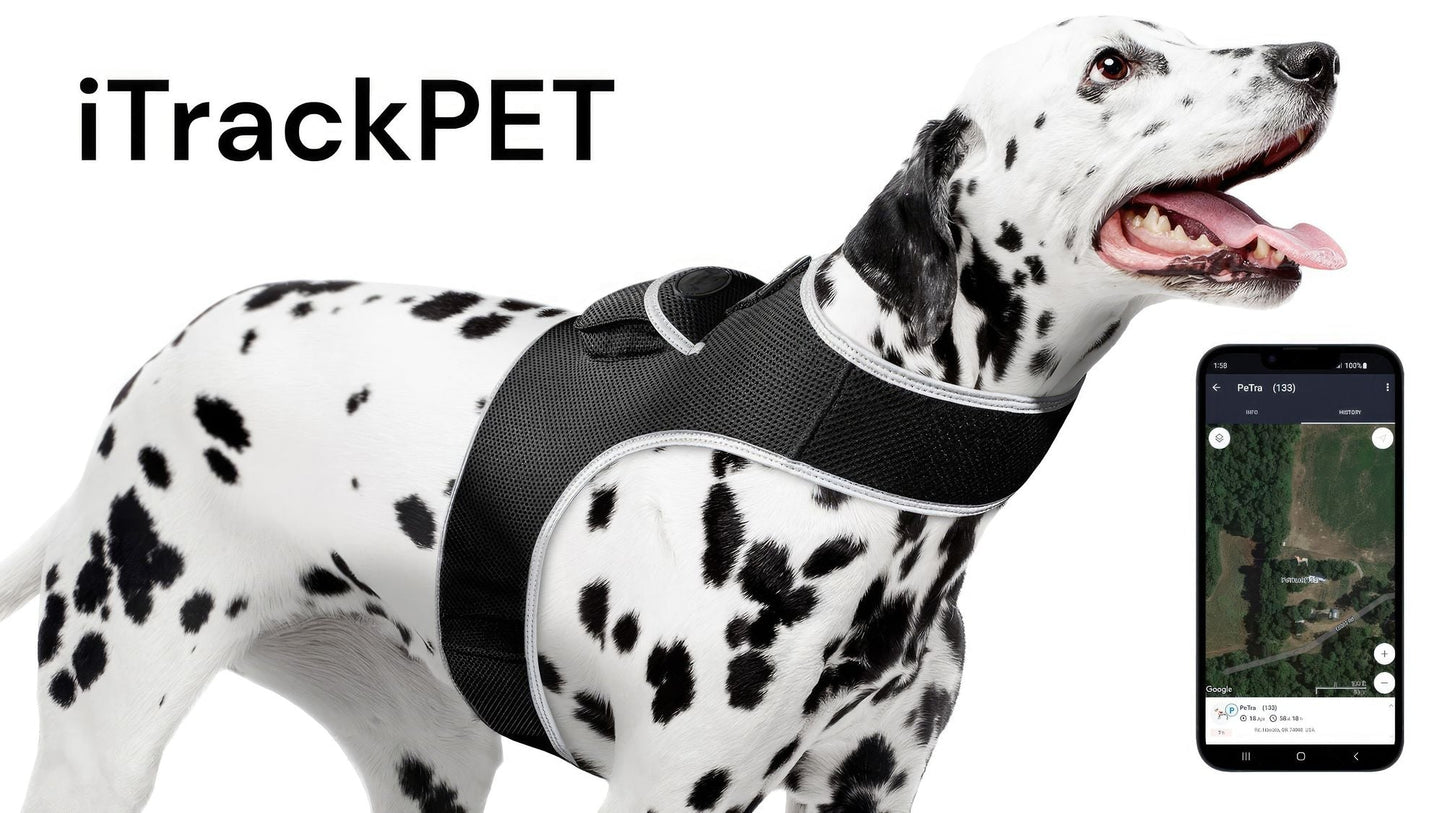 Waterproof Collar Mount Tracker Realtime GPS GSM Puppy Tracking Device Size:L