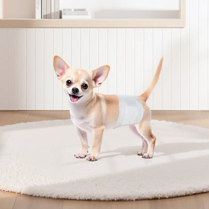 Disposable Male Dog Diapers Super Absorbent Male Dog Wrap XS Size 96 Count