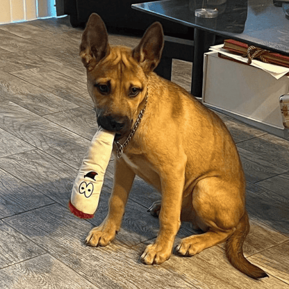 My Name is Jay, Cute Stuffed Parody Joint Dog Toy, Funny Squeaky Weed Toy, Cool Plush Novelty 420 Gift for Pets & Their Owners, Sized for Puppies & Small, Medium & Large Breeds, Fetch & a Photo Prop