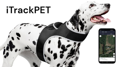 Pet Realtime Surveillance w/ Pet Tracker GPS Tracking Chip for Dogs + App Size:M