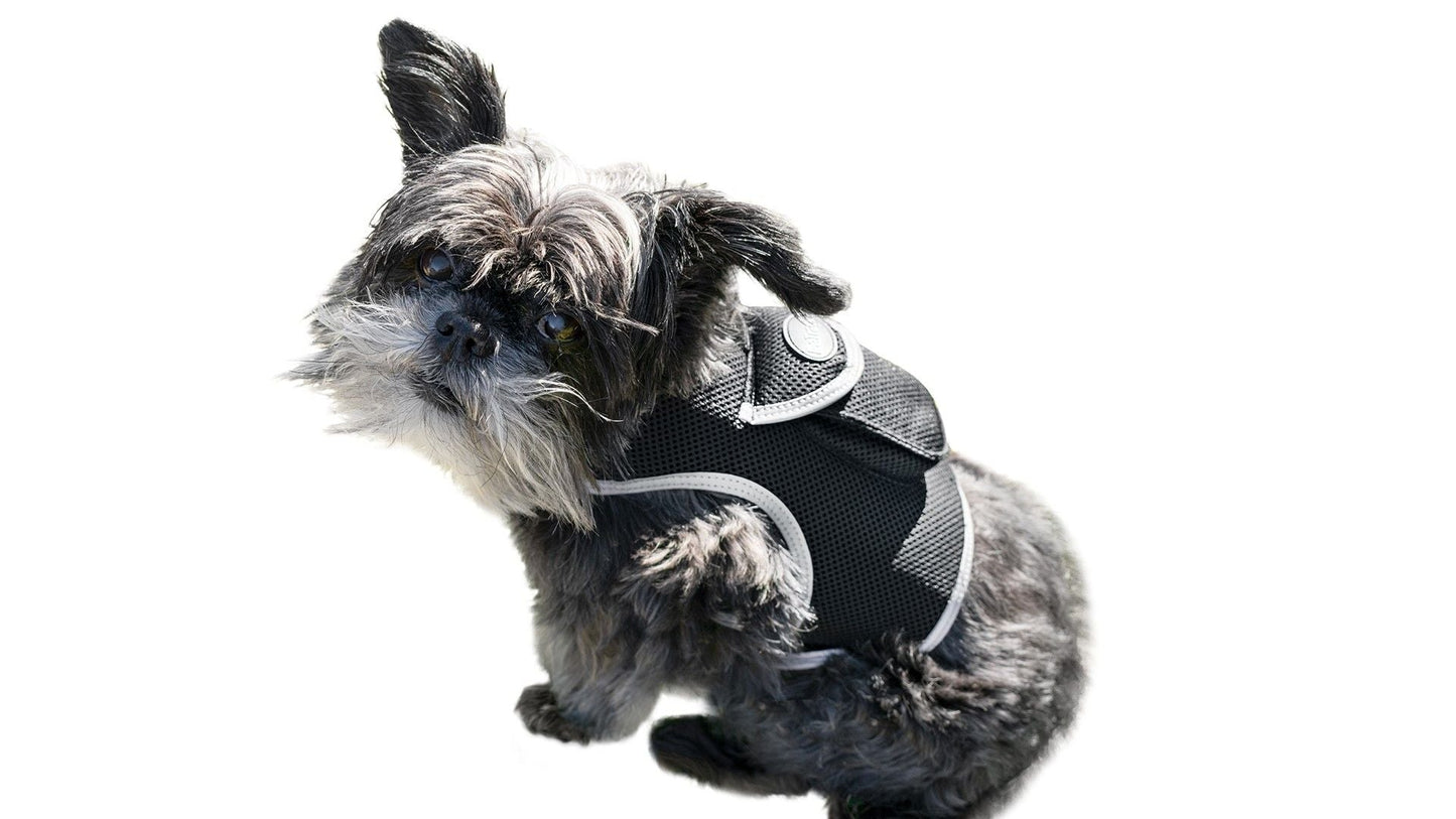 Waterproof Mini Pet Location Finder w/ Pet GPS Tracking Cell Phone App Size:M