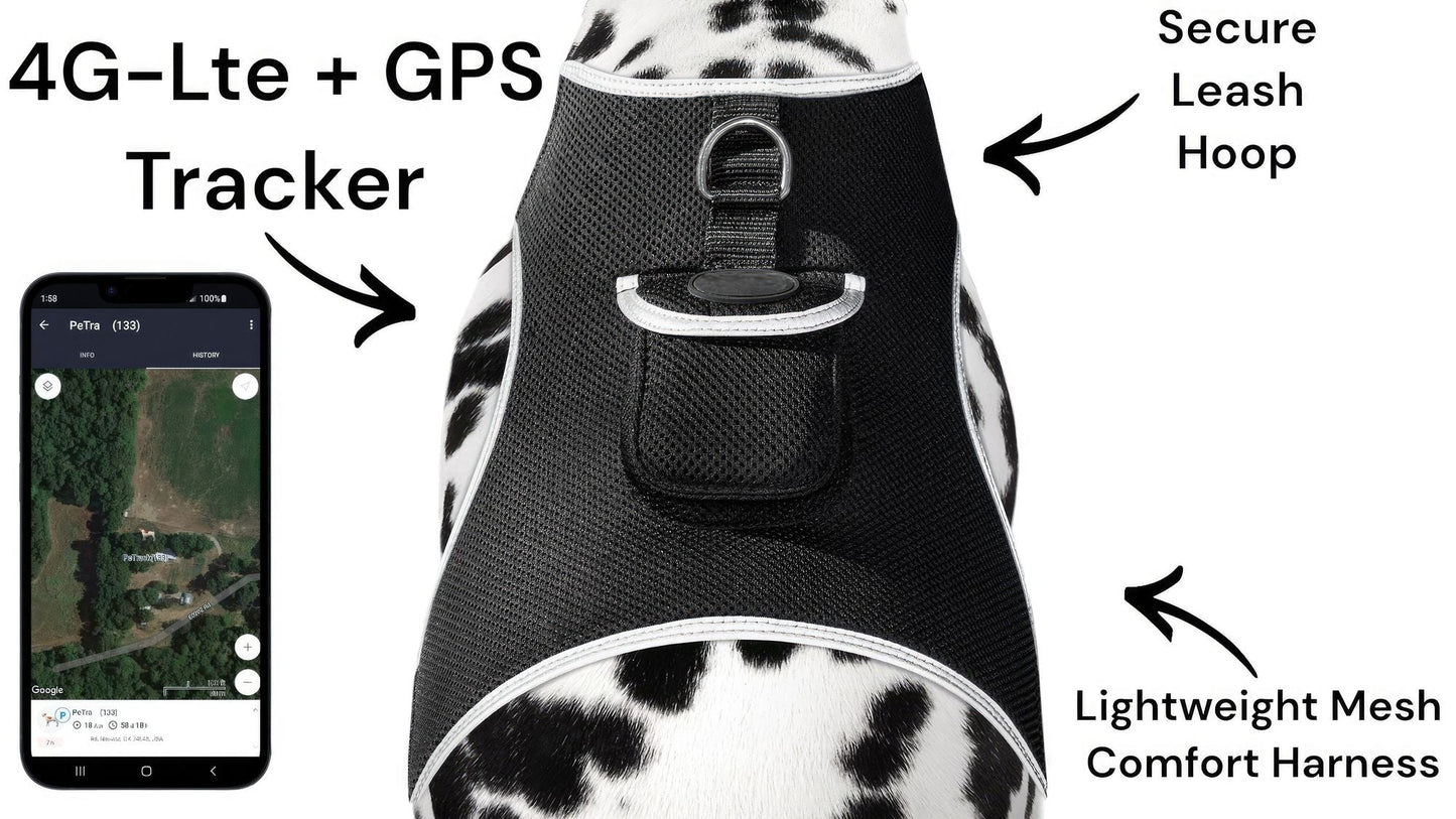 Collar Rechargeable Portable GPS Tracking Devices for Pets GSM Locator Size:S