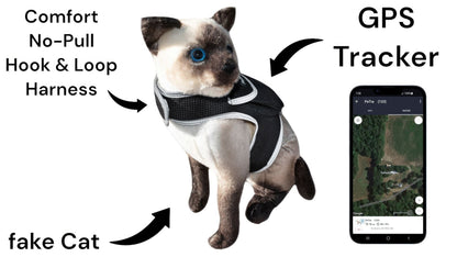 GSM GPS Animal Tracker Collar Attached Rechargeable Realtime Surveillance Gadget Size:XXL