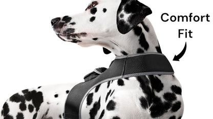 Keep Pet Safe with Pet Tracker GPS Dog Collar Tracking Device + Phone App Size:M