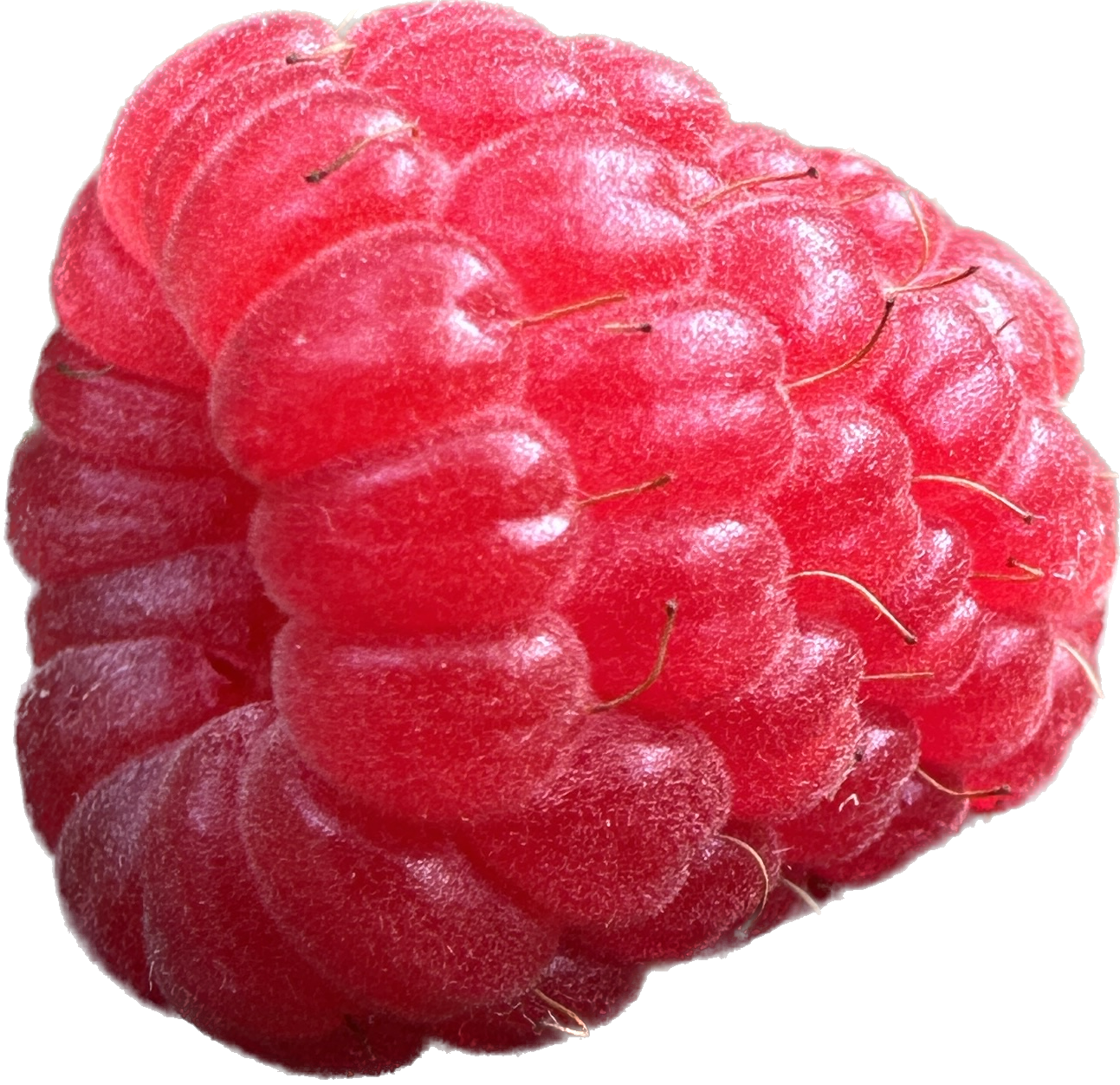 Wholesale Raspberry Maple Syrup