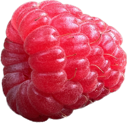 Wholesale Raspberry Maple Syrup