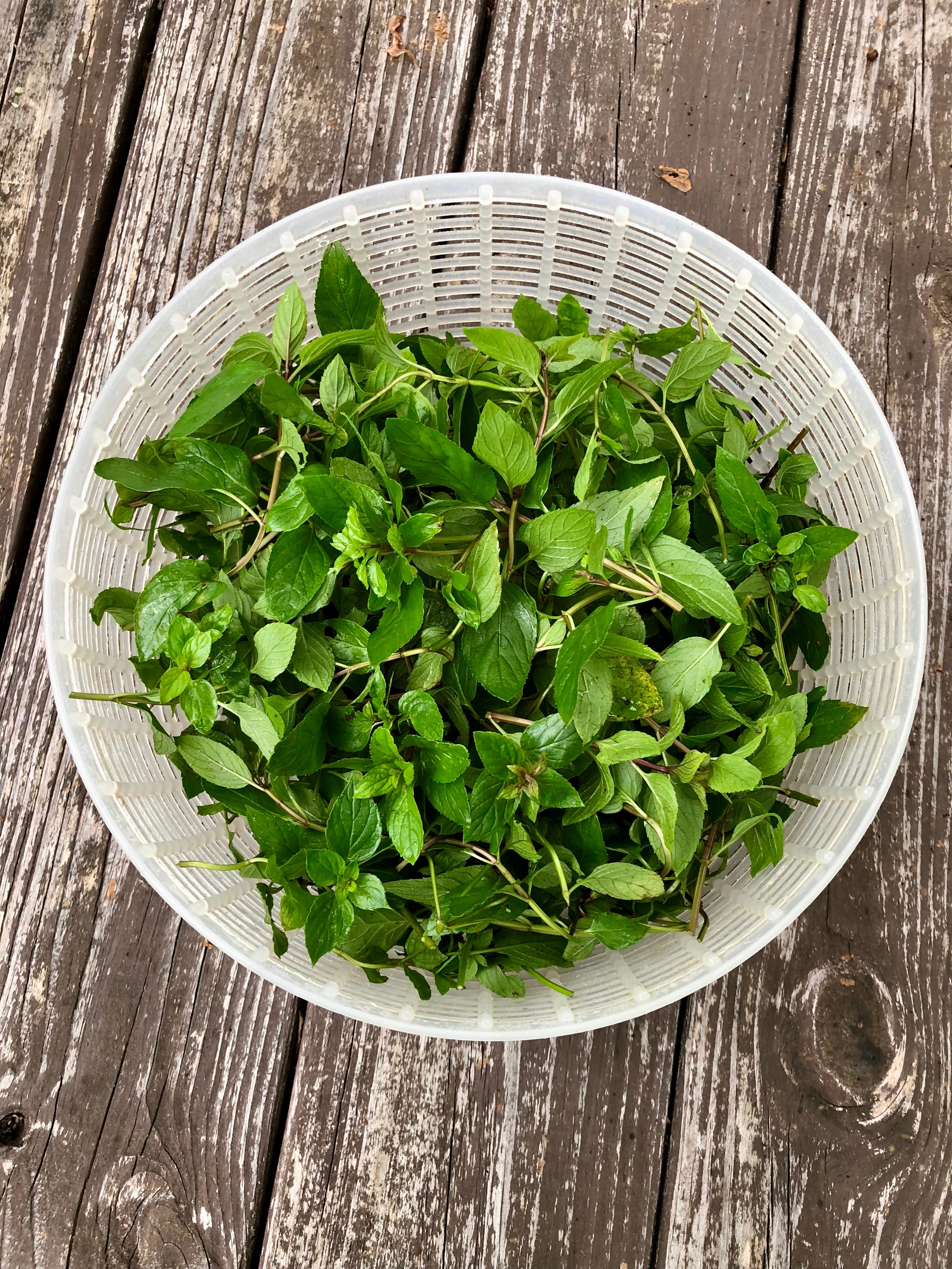 Wholesale Candy Cane Maple Syrup