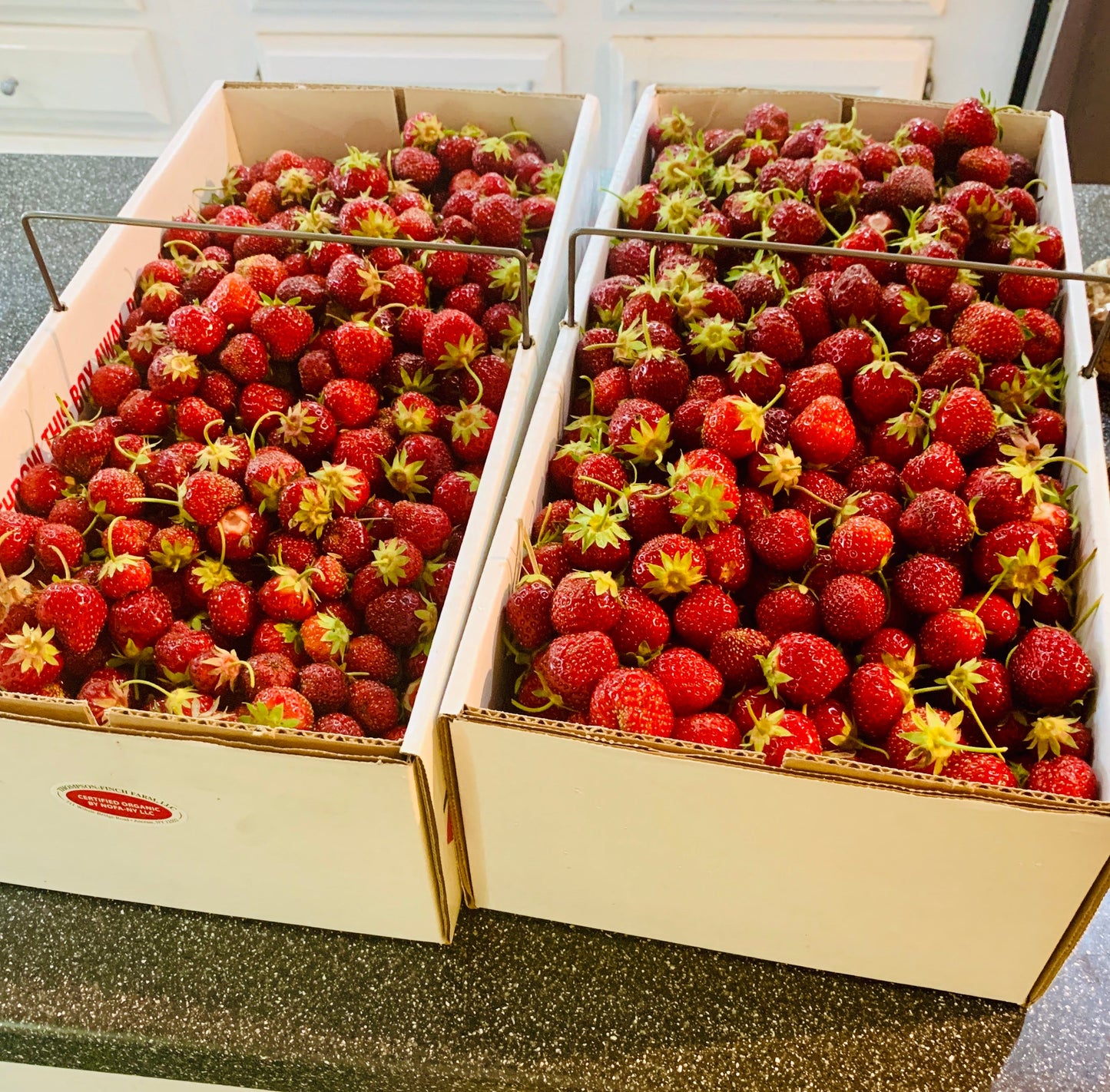 Wholesale Strawberry Maple Syrup