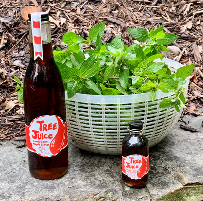 Wholesale Candy Cane Maple Syrup