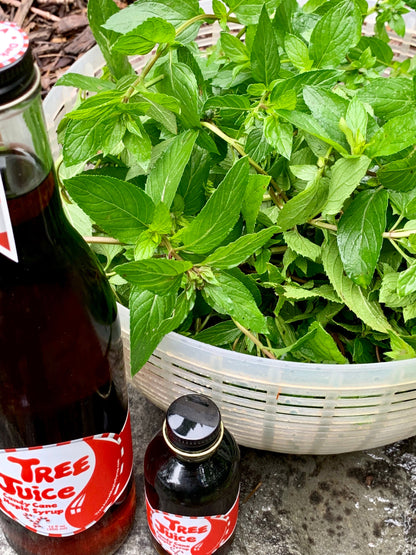 Wholesale Candy Cane Maple Syrup