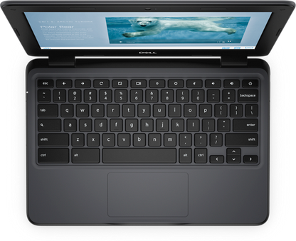 Dell Chromebook 3100 Chrome OS Laptop - 11.6" Display Intel Celeron Dual Core - 4 GB RAM 16 GB eMMC Intel HD Graphics