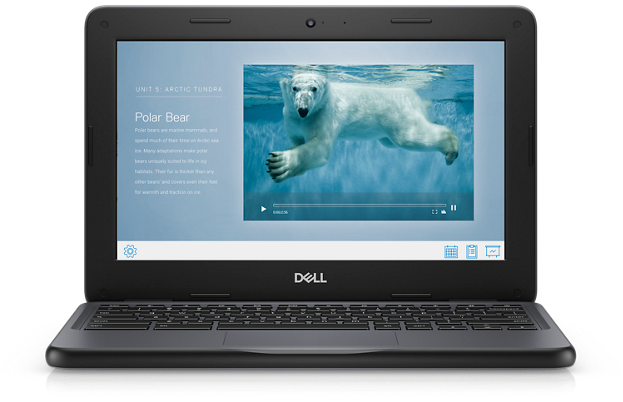 Dell Chromebook 3100 Chrome OS Laptop - 11.6" Display Intel Celeron Dual Core - 4 GB RAM 16 GB eMMC Intel HD Graphics