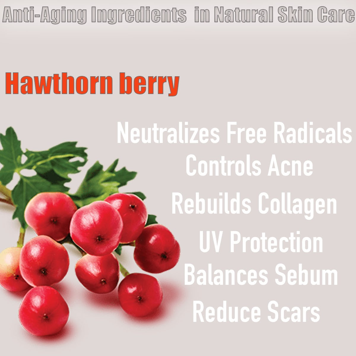 Certified Organic Skin Rejuvenator Serum Anti aging natural sunscreen alternative Botanical retinol