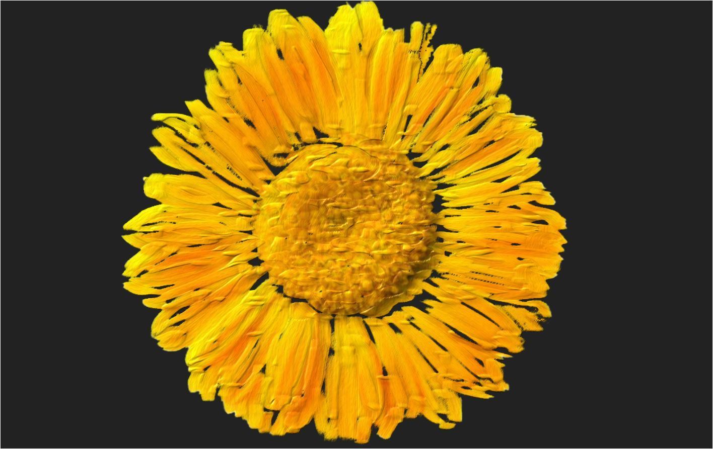 Certified Organic Rejuvenating Night cream calendula Hydrate Anti-aging Repair |Calendula flower