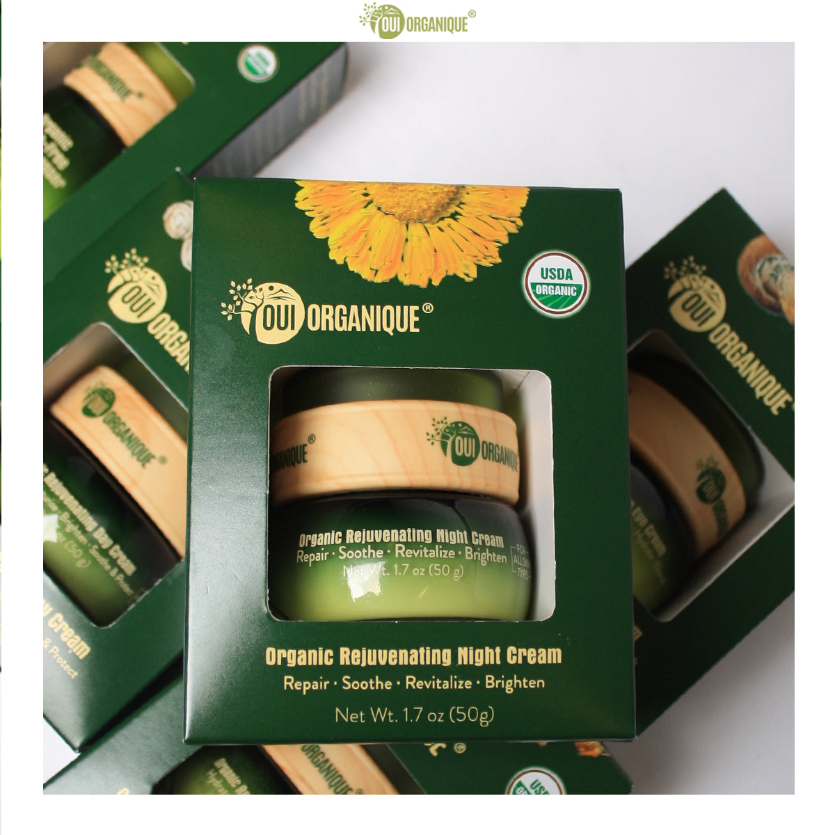 Certified Organic Rejuvenating Night cream calendula Hydrate Anti-aging Repair |Calendula flower