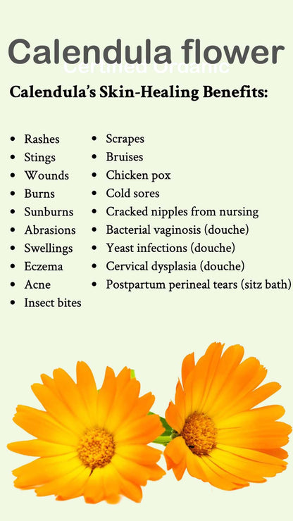 Certified Organic Rejuvenating Night cream calendula Hydrate Anti-aging Repair |Calendula flower