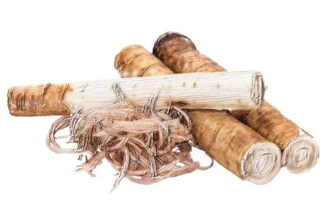 Certified Organic Rejuvenating Day Cream burdock Root|Detoxify |Brighten|