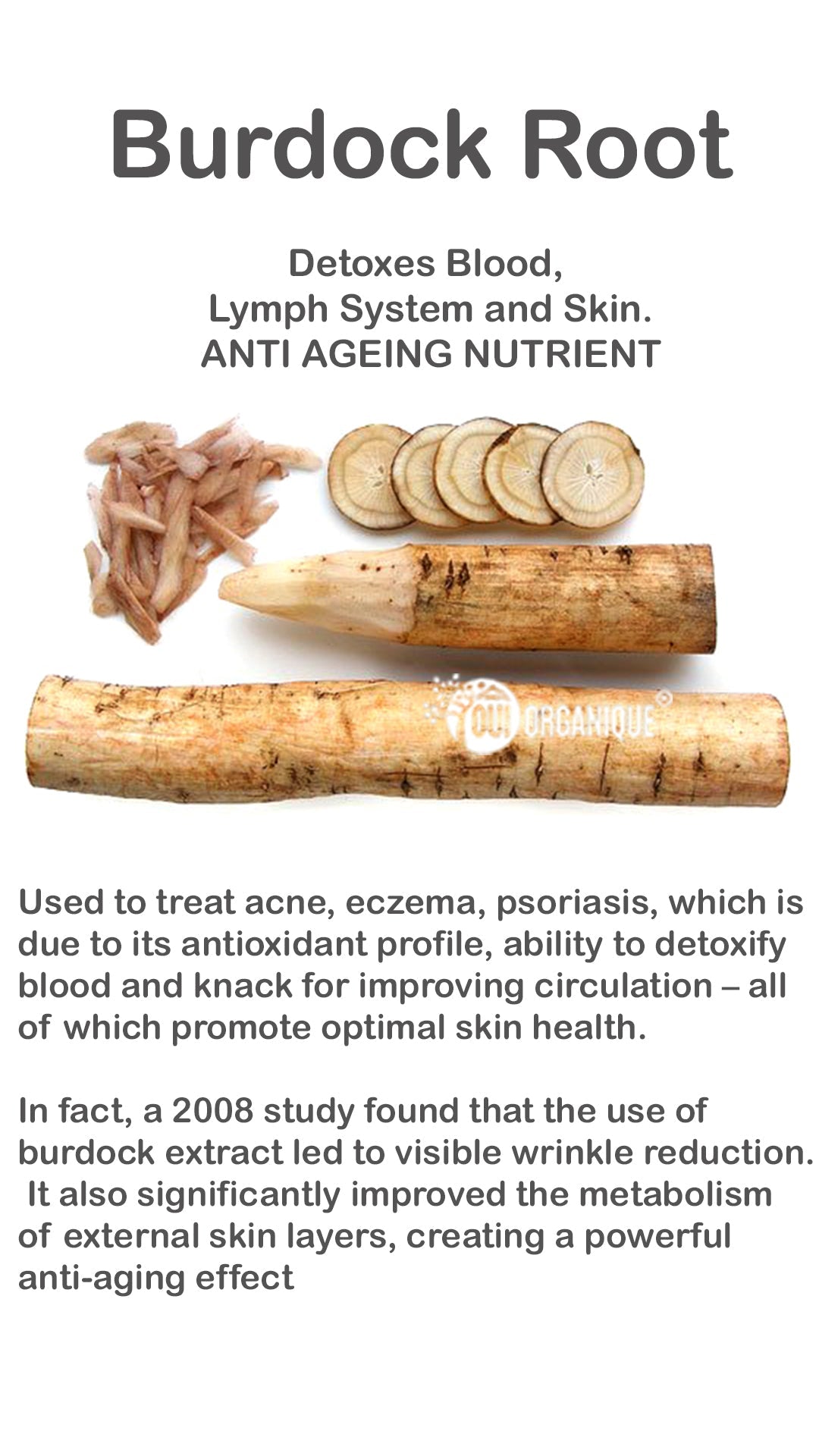 Certified Organic Rejuvenating Day Cream burdock Root|Detoxify |Brighten|