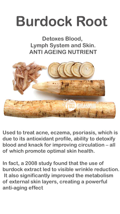 Certified Organic Rejuvenating Day Cream burdock Root|Detoxify |Brighten|