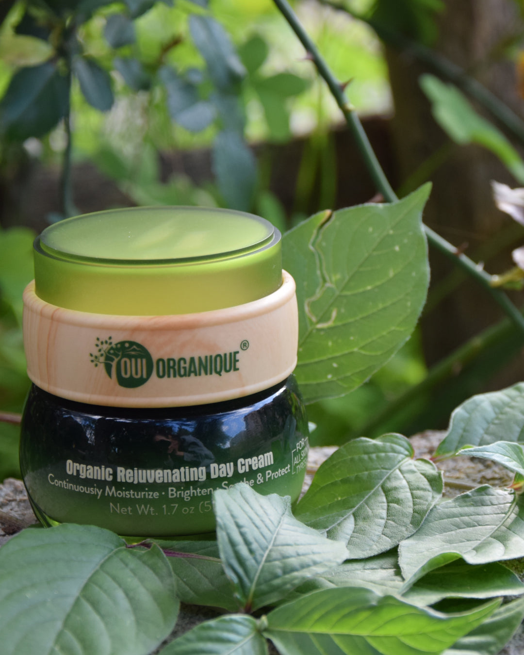 Certified Organic Rejuvenating Day Cream burdock Root|Detoxify |Brighten|